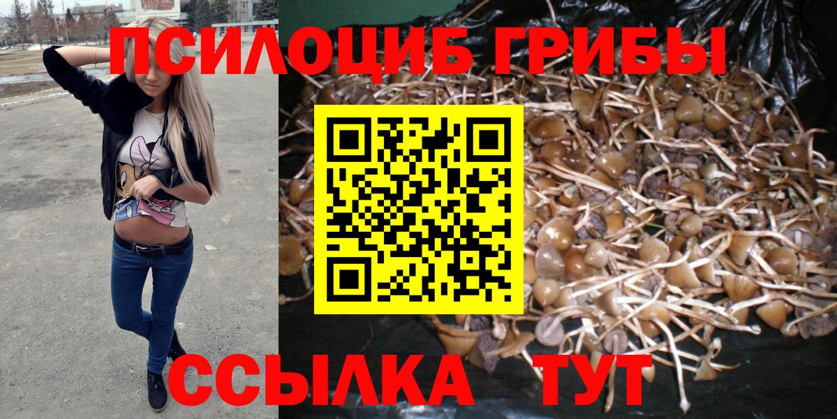 Новочебоксарск  Псилоцибиновые грибы Magic Shrooms  Вход с VPN 